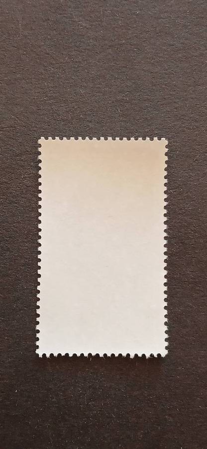 S.W.A 1982 TORTOISES