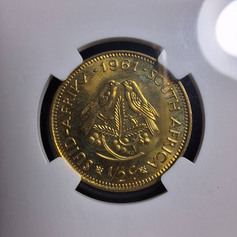 1961 Proof 66 SA 1/2 Cent NGC Graded