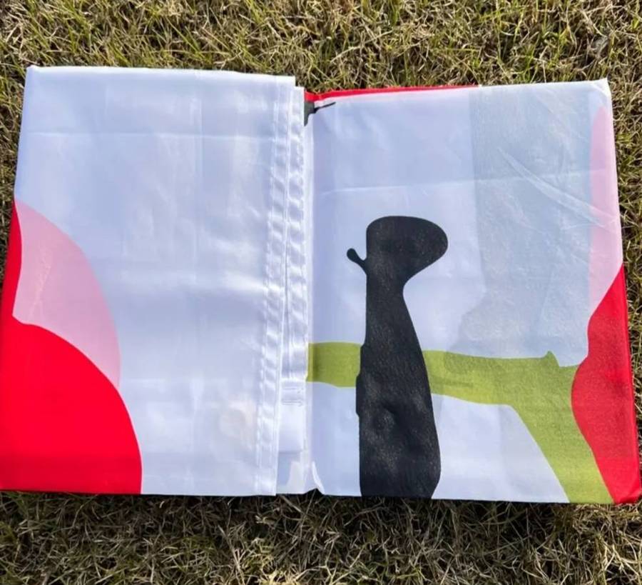 Poppy day flag with airplains