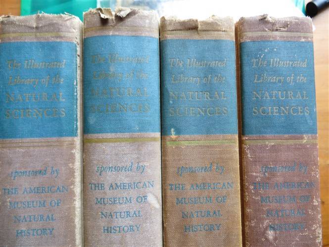 (1958) The Illustrated Library of Natural Science - 4 x Volumes for 1 Bid - American Museum Natural