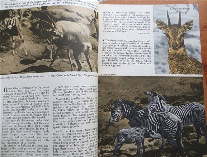 (1958) The Illustrated Library of Natural Science - 4 x Volumes for 1 Bid - American Museum Natural