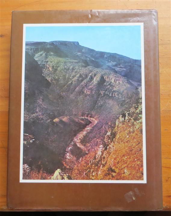 Valley of Gold - A.P Cartwright - Hardcover - foxing present