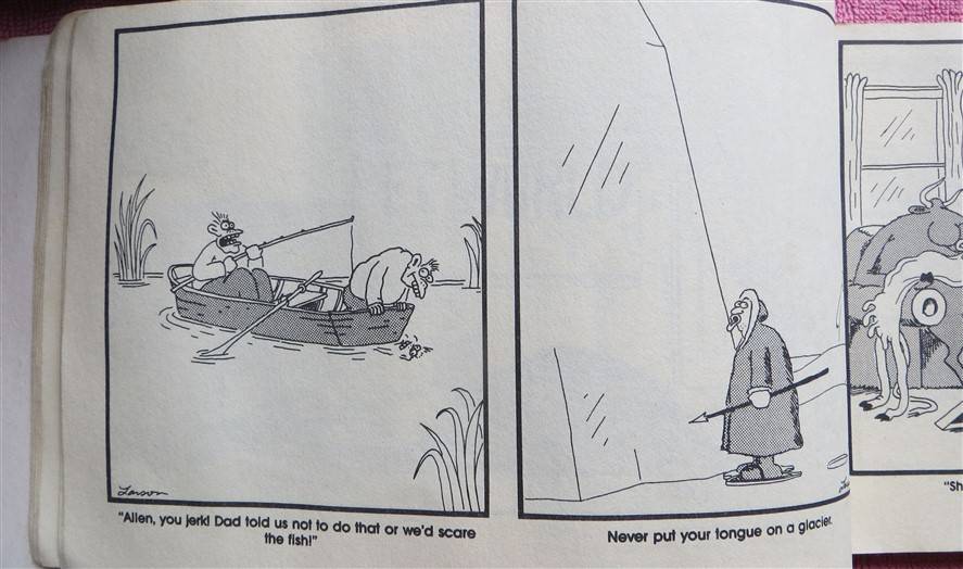 The Far Side Observer - Gary Larson