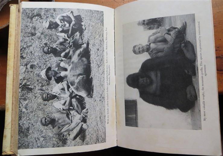 A Hunter's Story - C.J.P Ionides Autobiography - 1965 Hardcover