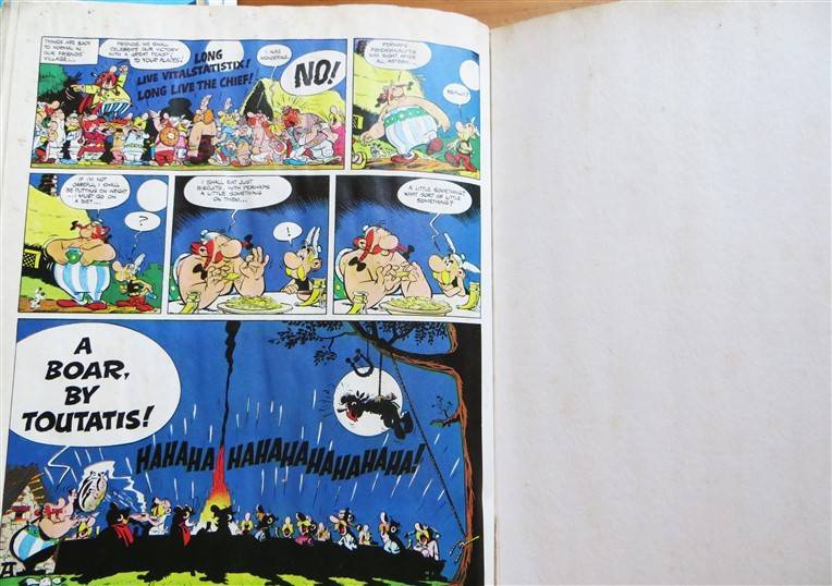 Asterix & the Big Fight - Comic Book - Goscinny & Uderzo - Water Damage Rescue