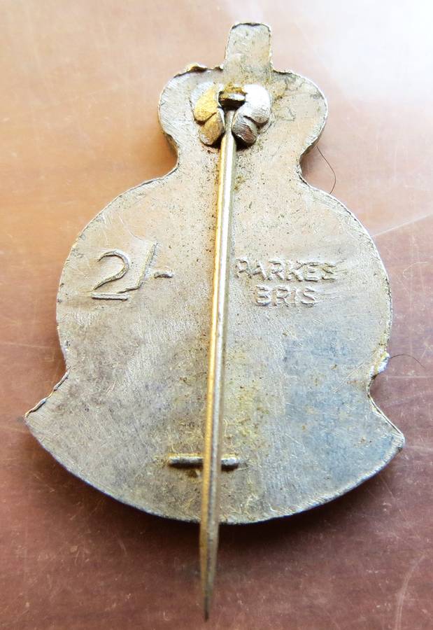 Anzac Day 2 Shilling Pin