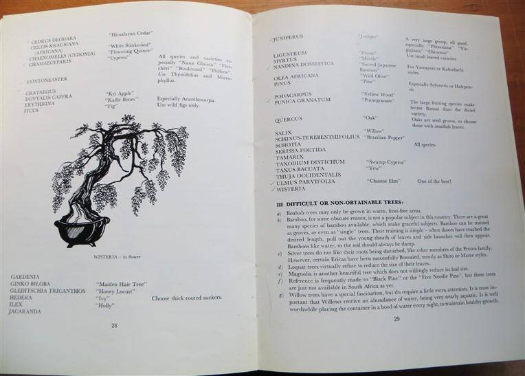 South African Bonsai Book - D.Hall & D.Black