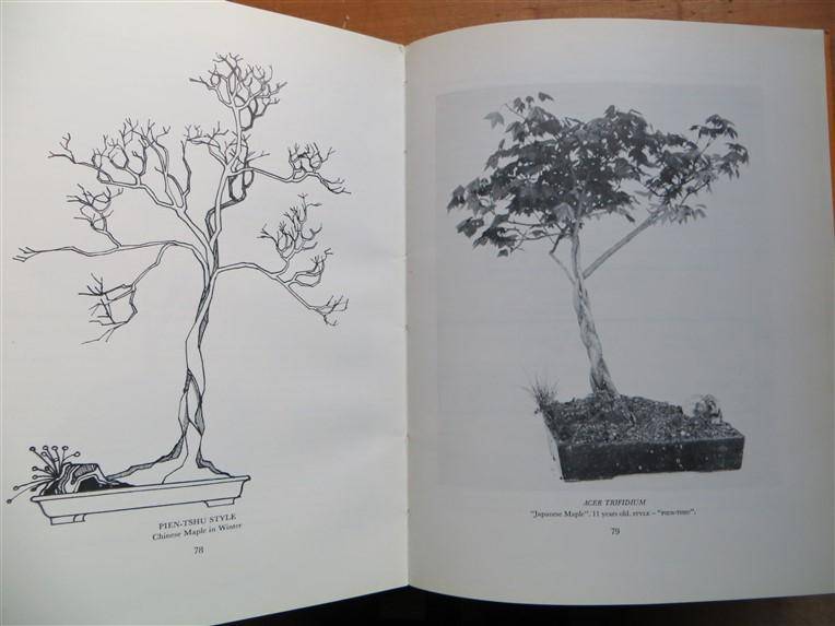 South African Bonsai Book - D.Hall & D.Black
