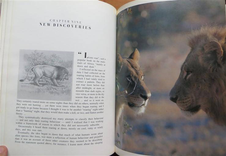 Liontide - Christopher McBride - Signed twice by Author (1990)