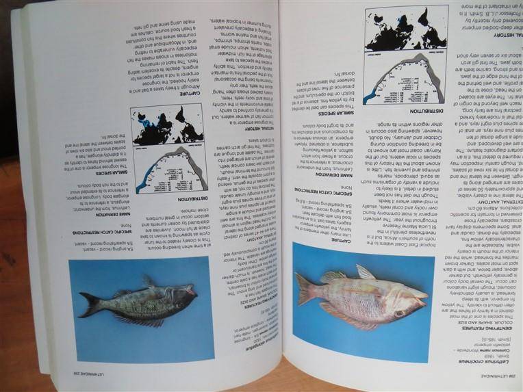 Guide to the Common Sea Fishes of Southern Africa - Rudy Van Der Elst