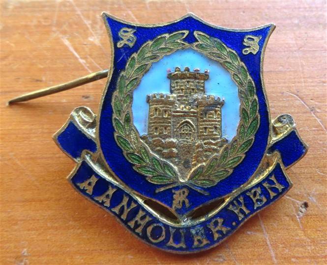 Vintage enamelled "Aanhouer Wen" badge
