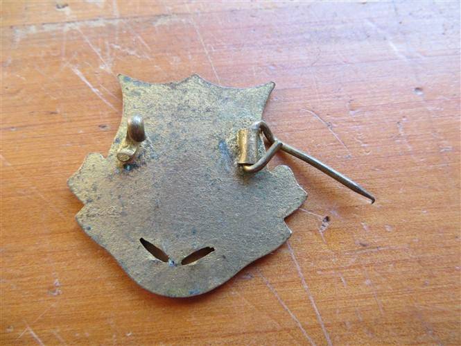 Vintage enamelled "Aanhouer Wen" badge