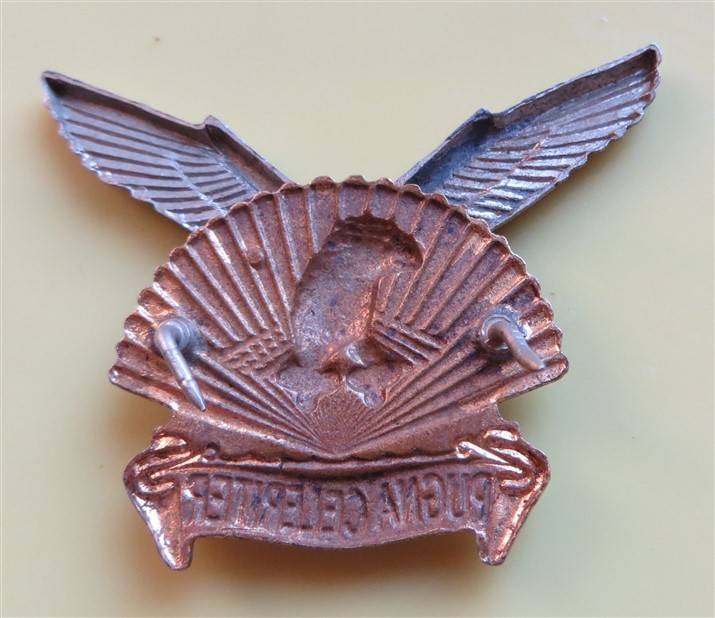 Durban Regiment Badge
