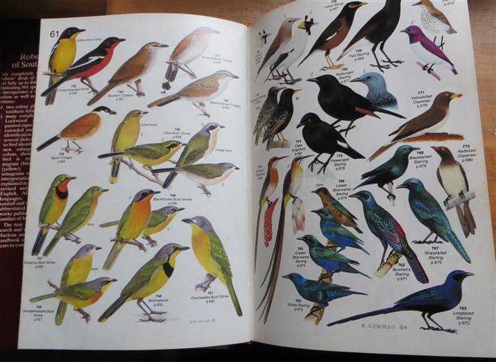 Roberts' Birds of South Africa (1985) - Gordon Lindsay Maclean