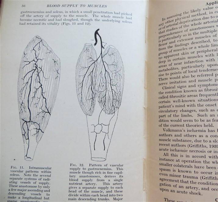 Recent Advances in Physical Medicine (1950) - Francis Bach