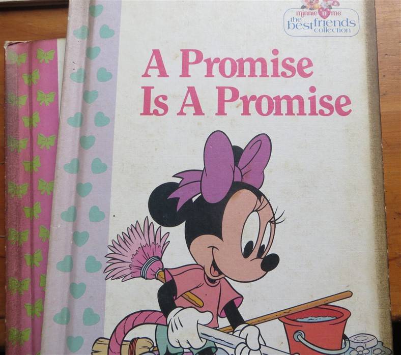 6 x Disney Minnie Mouse hardcover Bundle