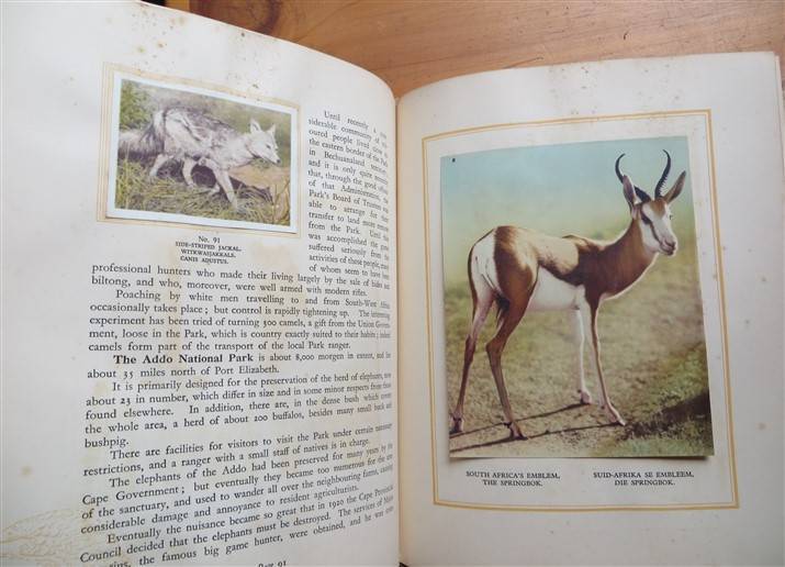 SA National Parks Cigarette Cards Album - Complete - Foxing