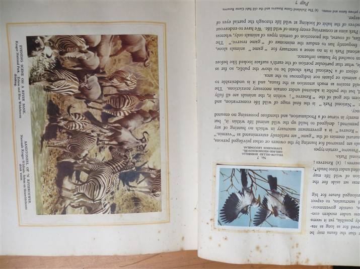 SA National Parks Cigarette Cards Album - Complete - Foxing