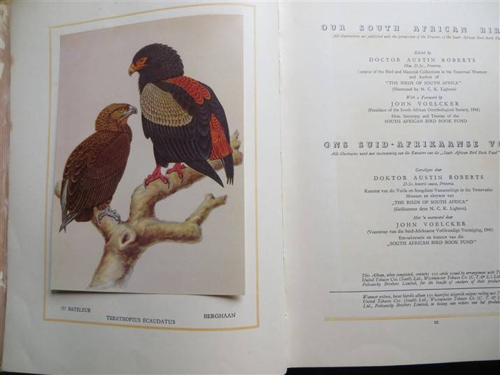 SA Birds Cigarette Cards Album - Complete - Foxing