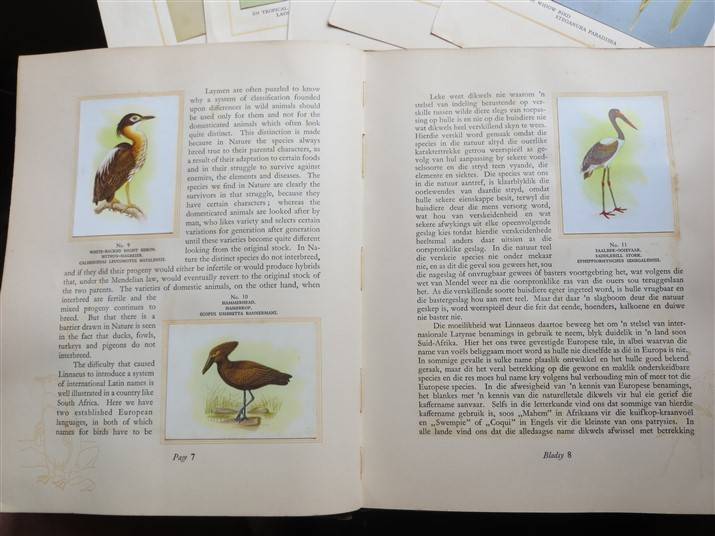 SA Birds Cigarette Cards Album - Complete - Foxing