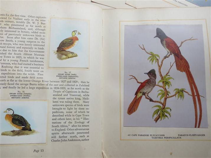 SA Birds Cigarette Cards Album - Complete - Foxing