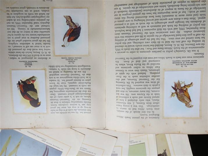 SA Birds Cigarette Cards Album - Complete - Foxing