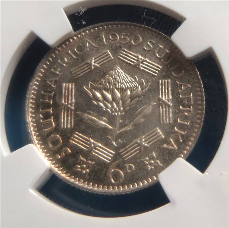1950 SA 6d Sixpence Silver NGC PF61 Mintage : 500
