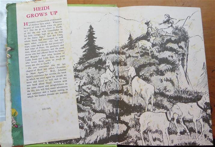Heidi Grows Up - Johanna Spyri - Illustrated