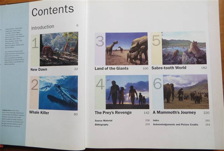 Walking with Beasts - Prehistoric Safari - Tim Haines BBC Large Hardcover