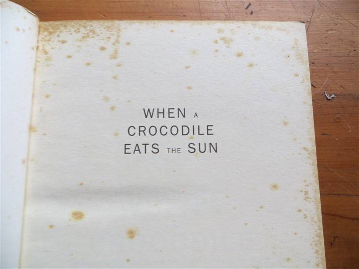 When a Crocodile eats the Sun - Peter Godwin - foxing present