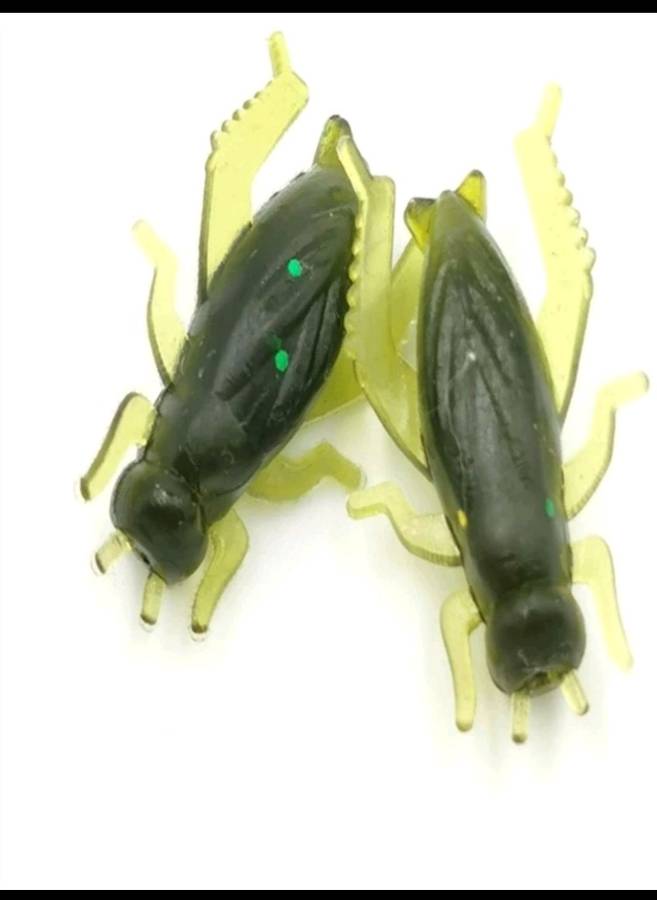 60pc Crickets baits**fishing*