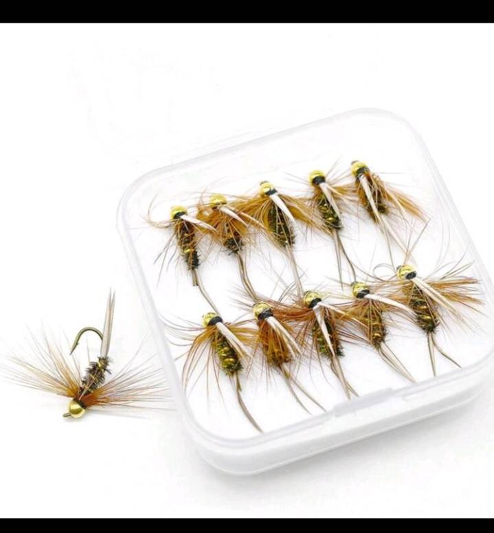 10pc Baits