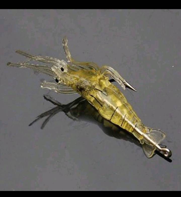 *10PC SHRIP* FISHING BAIT