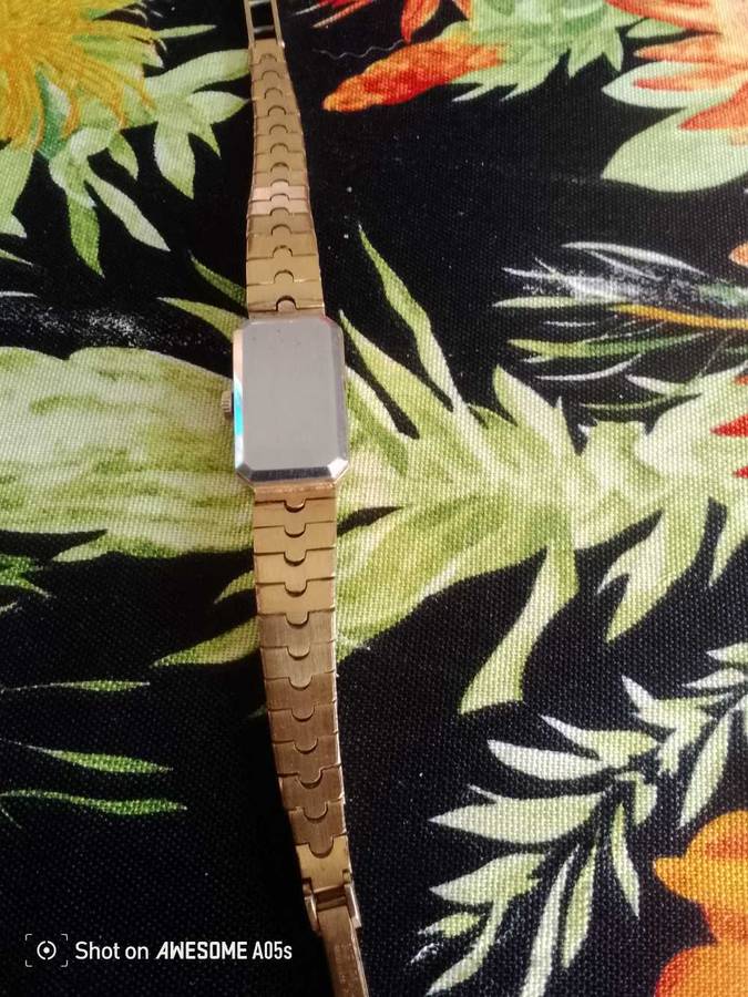 Delfin Edox manual