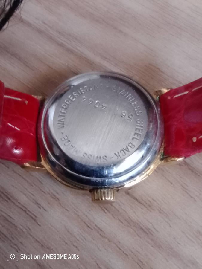 Rotary automatic with date