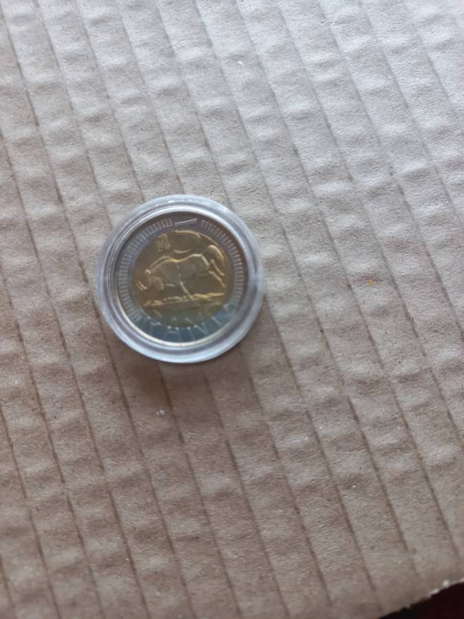 2008 Oom Paul in Capsule