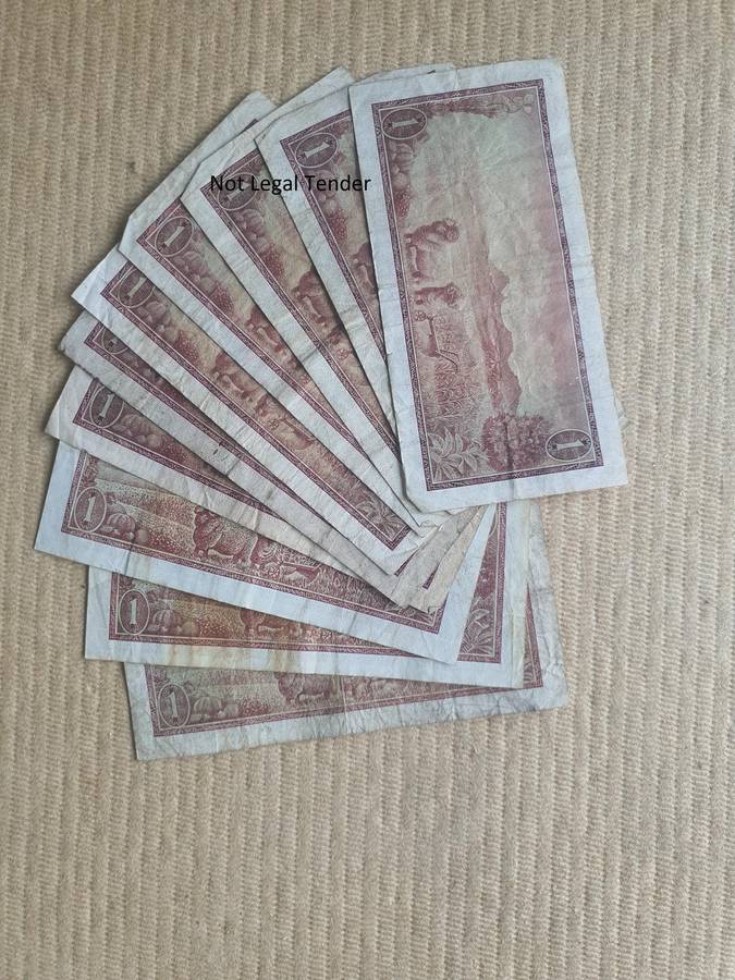 10 TW de Jongh 1st Issue Afr/Eng One Rand Banknotes (A635)