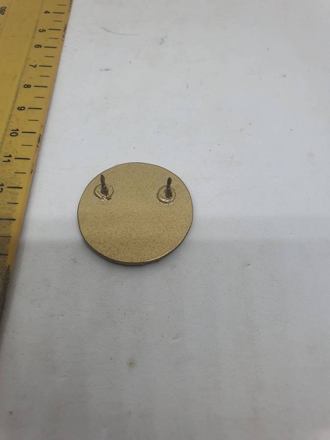 SAAF 100 Years Pin. Origin Unknown 2 cm