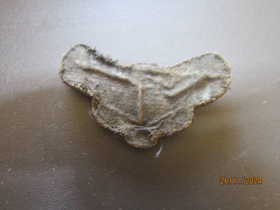 SADF Airforce Beret Badge.
