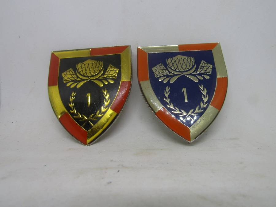 2  SADF One SSB Regiment Shoulder Flashes Badge. Pin intact.