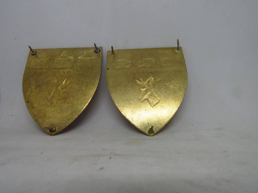 2  SADF Witwatersrand Command Shoulder Flashes Badge. Pin intact.