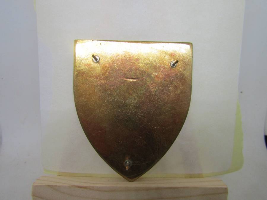SADF Witwatersrand  Command Flashes . Pins intact.