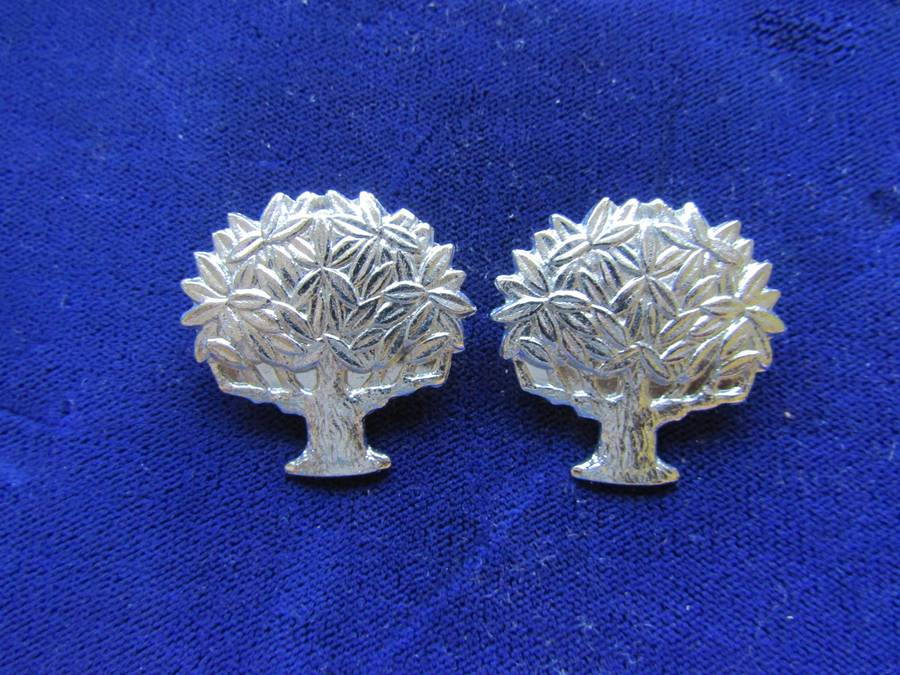 Pair of Regiment Orange Free State Collar Badges. Pins intact.