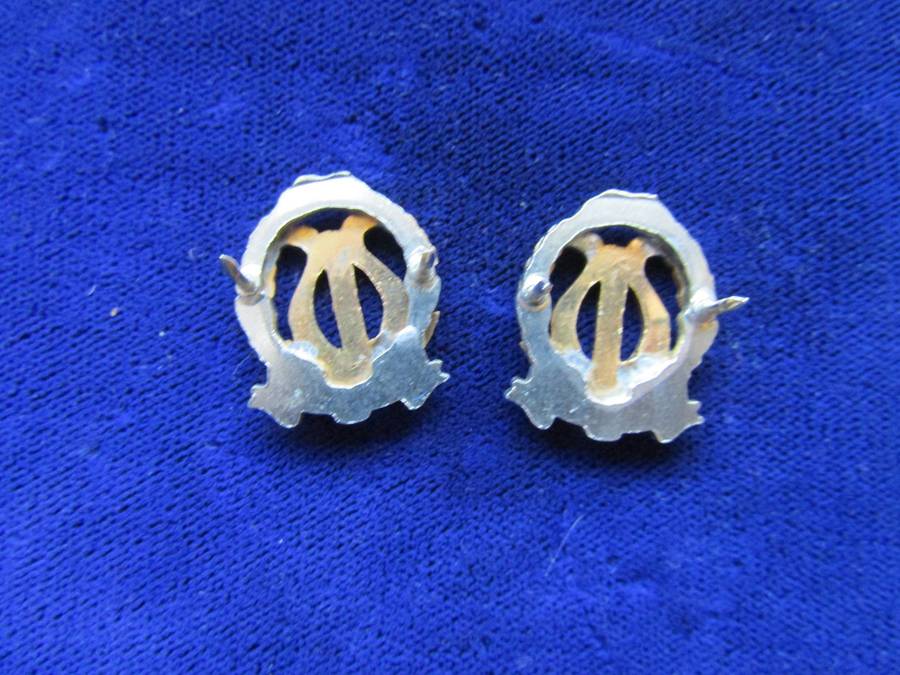 Pair of SA Permanent Force Band Collar Badges. Pins intact.