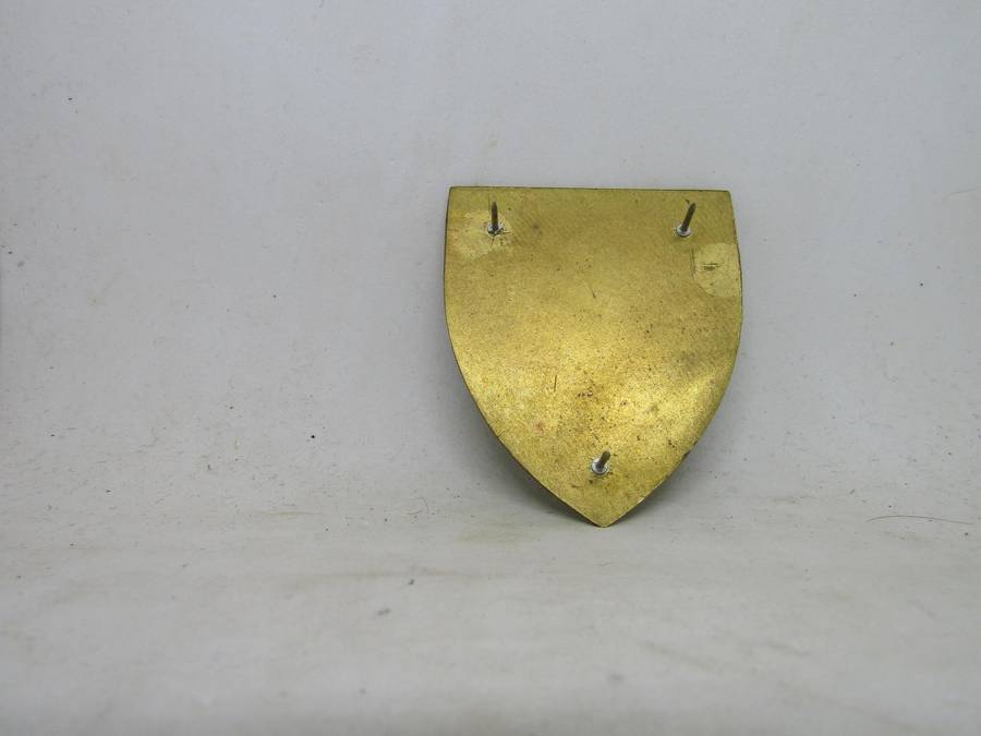 SADF Chief of Staff Finance Shoulder Flash  Pin Intact