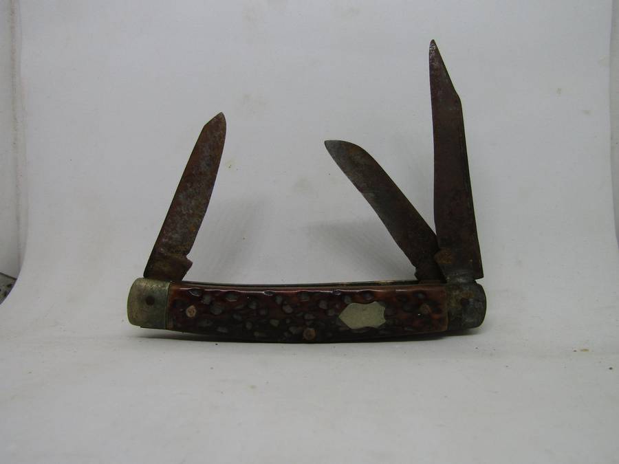 Bone Handle Sheffield Pocket Knive 5.5cm