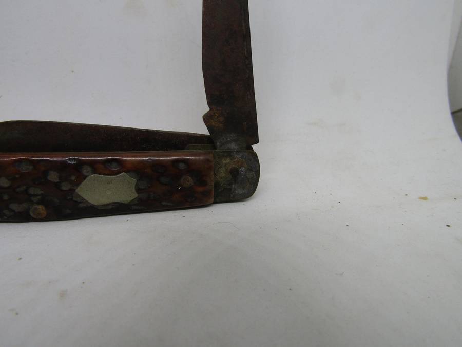 Bone Handle Sheffield Pocket Knive 5.5cm