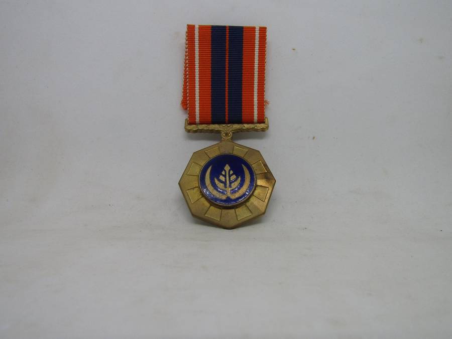 SADF Pro Patria Full size Medal (Bag B) Bid per medal