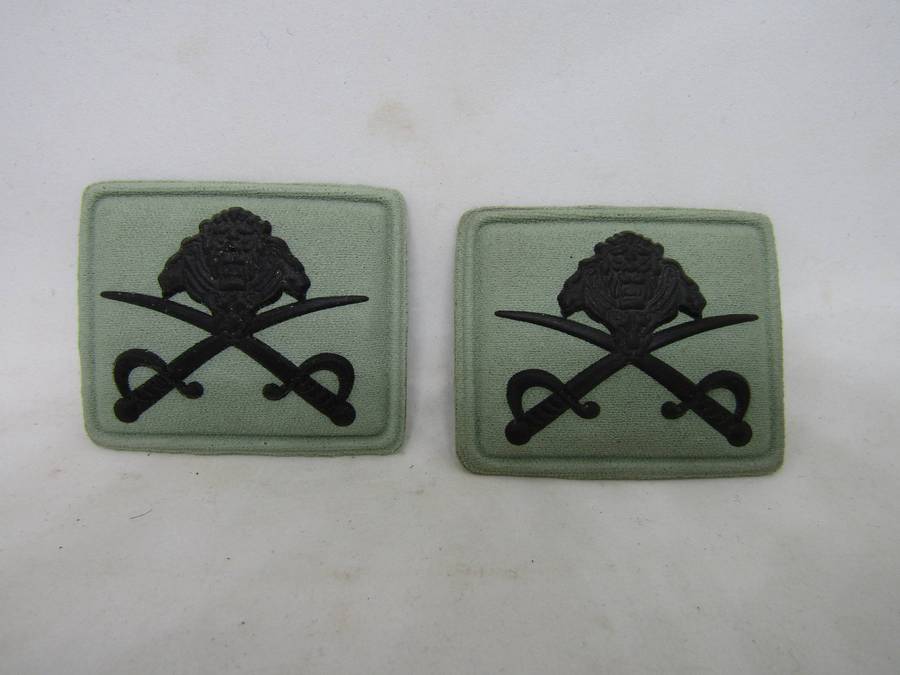 SANDF Physical Training Instructor Badge (2 Available )