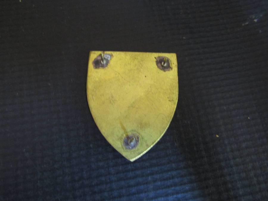 SWAFT Cadet Corps Pocket flash